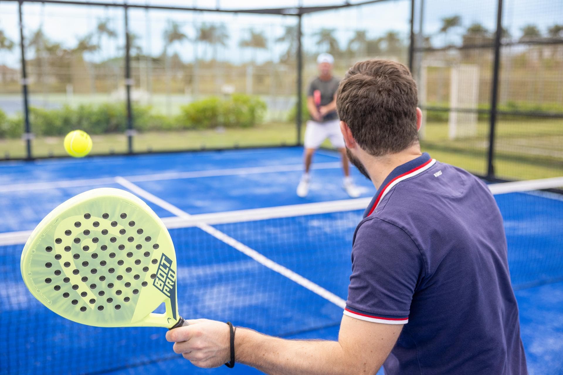 Vom Newcomer zur Nummer Eins